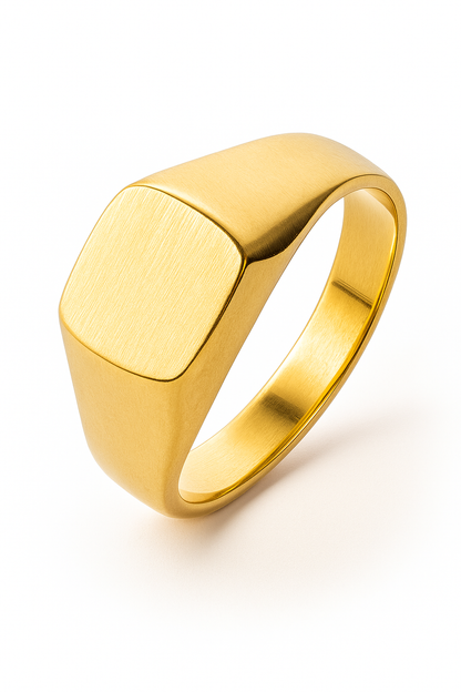 Anillo sello Modelo Damon