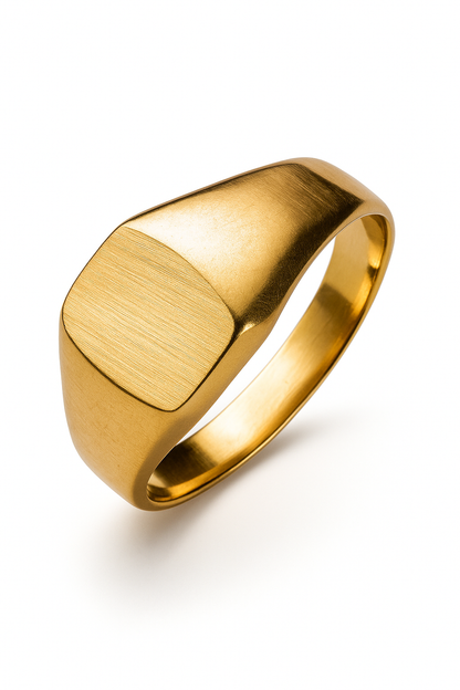 Anillo sello Modelo Damon