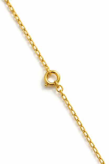 Gargantilla Oro 18k modelo Noa