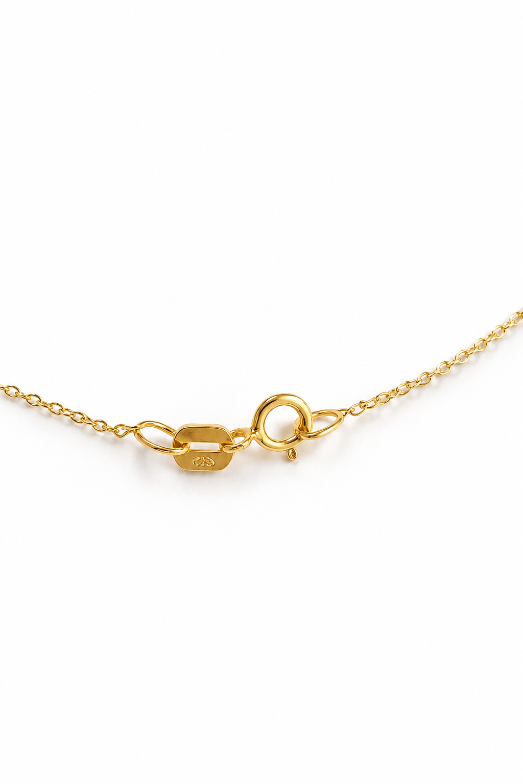 Gargantilla Oro Italiano modelo Evan